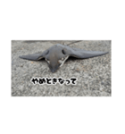 へはエイ（個別スタンプ：12）