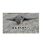 へはエイ（個別スタンプ：20）