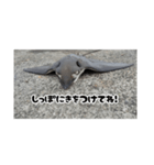 へはエイ（個別スタンプ：24）