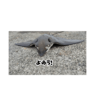 へはエイ（個別スタンプ：27）