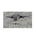 へはエイ（個別スタンプ：28）