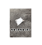 へはエイ（個別スタンプ：34）