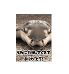 へはエイ（個別スタンプ：40）