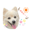 ゆめちゃんのスタンプkdi（個別スタンプ：1）