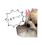 ゆめちゃんのスタンプkdi（個別スタンプ：2）
