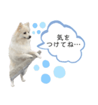 ゆめちゃんのスタンプkdi（個別スタンプ：3）
