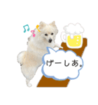 ゆめちゃんのスタンプkdi（個別スタンプ：4）