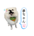 ゆめちゃんのスタンプkdi（個別スタンプ：7）