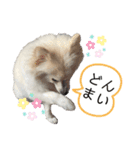 ゆめちゃんのスタンプkdi（個別スタンプ：8）
