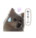 ゆめちゃんのスタンプkdi（個別スタンプ：10）