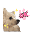 ゆめちゃんのスタンプkdi（個別スタンプ：11）