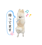 ゆめちゃんのスタンプkdi（個別スタンプ：15）