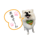 ゆめちゃんのスタンプkdi（個別スタンプ：16）