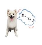 ゆめちゃんのスタンプkdi（個別スタンプ：18）