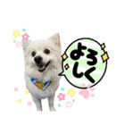 ゆめちゃんのスタンプkdi（個別スタンプ：23）