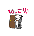 Bす犬の毎日使えるかわいいスタンプ（個別スタンプ：5）