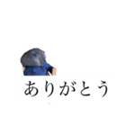 安田氏（個別スタンプ：2）