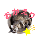 さくら日和 花（個別スタンプ：5）