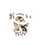 mioねこ（個別スタンプ：11）