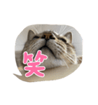 りかぽスタンプ（個別スタンプ：8）
