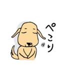 むっぎー＆ゴンの日常（個別スタンプ：17）