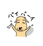 むっぎー＆ゴンの日常（個別スタンプ：19）