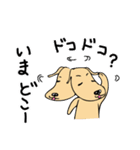 むっぎー＆ゴンの日常（個別スタンプ：22）
