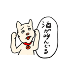 パインはお酒のプロ（個別スタンプ：22）