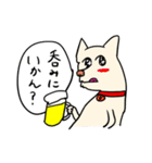 パインはお酒のプロ（個別スタンプ：24）