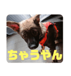 はちきゅう☆スタンプ（個別スタンプ：8）