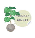 観葉植物メッセージスタンプ（個別スタンプ：2）