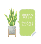 観葉植物メッセージスタンプ（個別スタンプ：7）