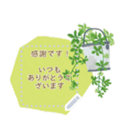 観葉植物メッセージスタンプ（個別スタンプ：11）