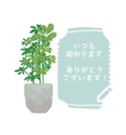 観葉植物メッセージスタンプ（個別スタンプ：12）