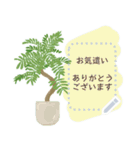 観葉植物メッセージスタンプ（個別スタンプ：13）