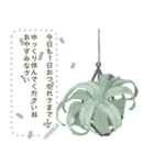 観葉植物メッセージスタンプ（個別スタンプ：16）