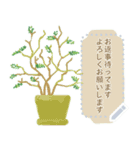 観葉植物メッセージスタンプ（個別スタンプ：23）