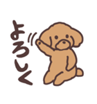トイプードル毎日あいさつリアクション（個別スタンプ：4）