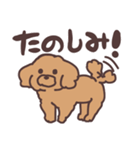 トイプードル毎日あいさつリアクション（個別スタンプ：5）