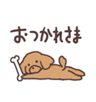 トイプードル毎日あいさつリアクション（個別スタンプ：6）