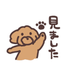 トイプードル毎日あいさつリアクション（個別スタンプ：11）