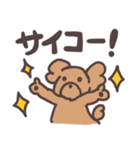 トイプードル毎日あいさつリアクション（個別スタンプ：12）