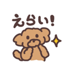 トイプードル毎日あいさつリアクション（個別スタンプ：13）