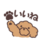 トイプードル毎日あいさつリアクション（個別スタンプ：15）