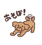 トイプードル毎日あいさつリアクション（個別スタンプ：17）