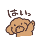 トイプードル毎日あいさつリアクション（個別スタンプ：18）