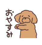 トイプードル毎日あいさつリアクション（個別スタンプ：22）