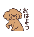 トイプードル毎日あいさつリアクション（個別スタンプ：23）