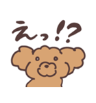 トイプードル毎日あいさつリアクション（個別スタンプ：30）
