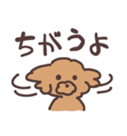 トイプードル毎日あいさつリアクション（個別スタンプ：31）